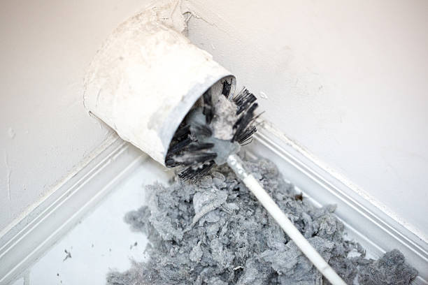 Best Professional Duct Cleaning Services  in Forney, TX